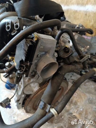 Двигатель mazda 3 bk 1.6 z6