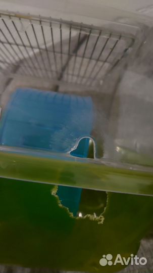 Клетка для хомяка с дефектом