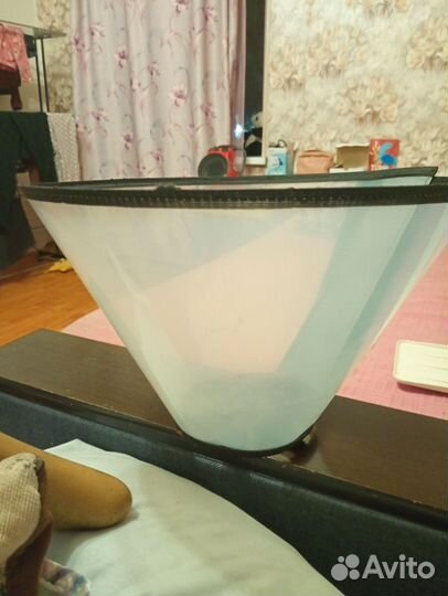 Воротник защитный для животных