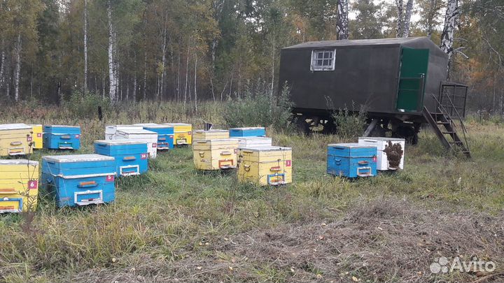 Продам пчелоинвентарь и оборудование для пасеки