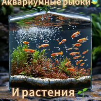 Аквариумные рыбки и растения