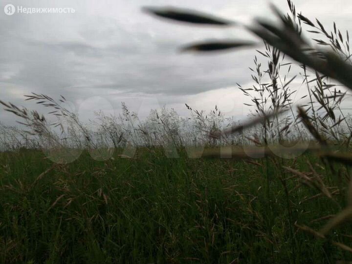 Участок 86 га (СНТ, ДНП)