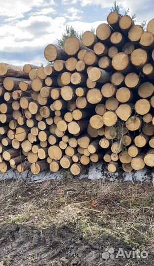 Лес кругляк пиловочник