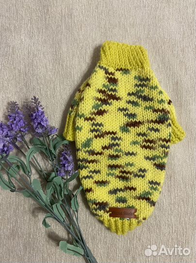 Одежда для собак