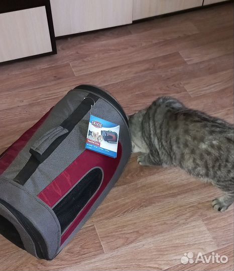 Переноска большая для кошек и собак Trixie
