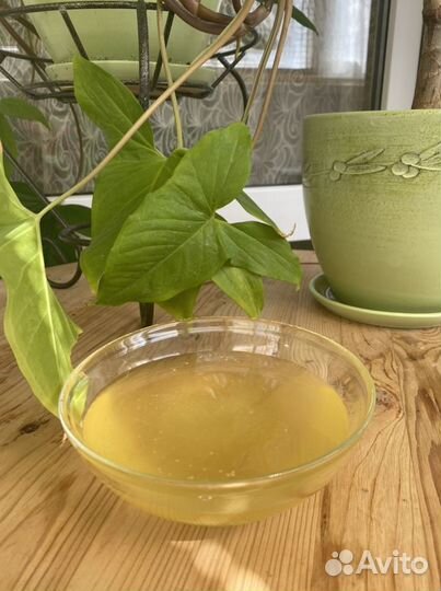 Свежий Мёд белая акация 2023