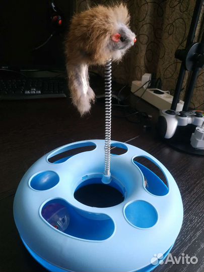 Забава, игрушка для питомца