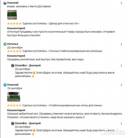 Мох для дизайнерских целей и задач премиум ягель