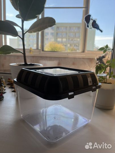 Террариум для рептилий, улиток, пауков