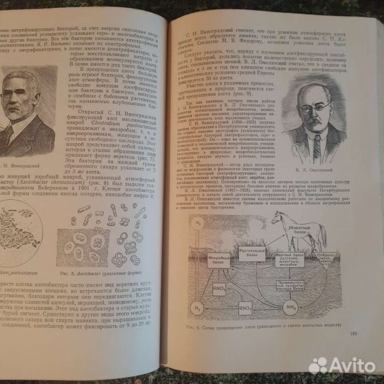 Ботаника.1954 г.,564 стр