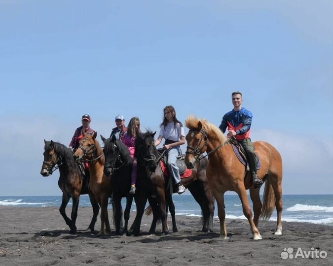 Конные прогулки