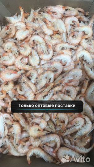10 кг оптовые поставки Креветки все размеры, оптом