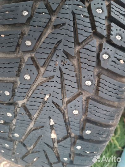 Nokian Tyres Nordman 7 205/50 R17