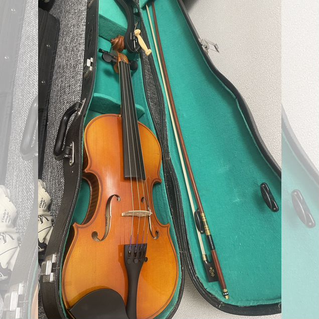 Скрипка 4/4 Euphony