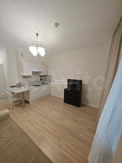 Квартира-студия, 22,5 м², 13/17 эт.