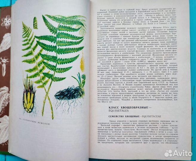 Ботаническая книга лекарственные растения СССР