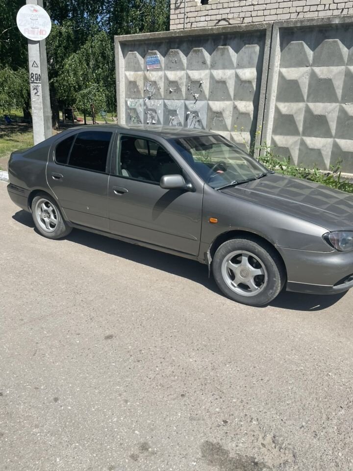 Nissan Primera: фото владельца