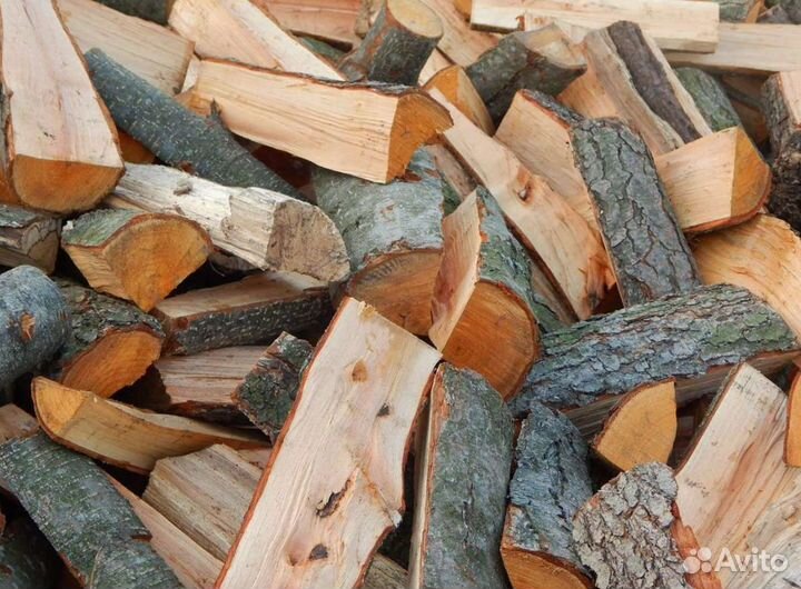 Дрова береза