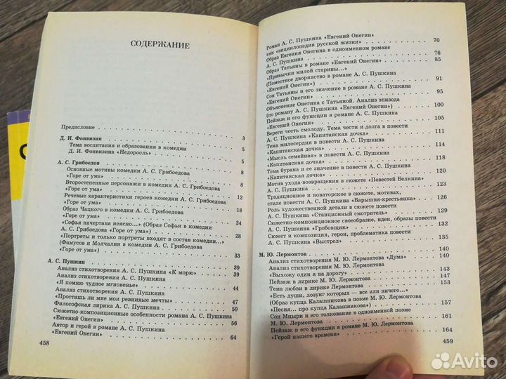 Репетитор по литературе