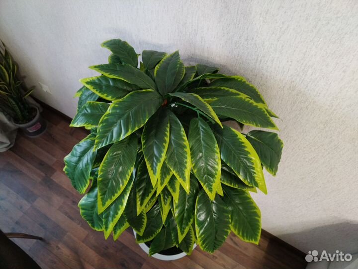 Новое искусственное дерево манго Озеленение Цветы