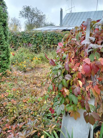 Дом 53 м² на участке 6,4 сот.