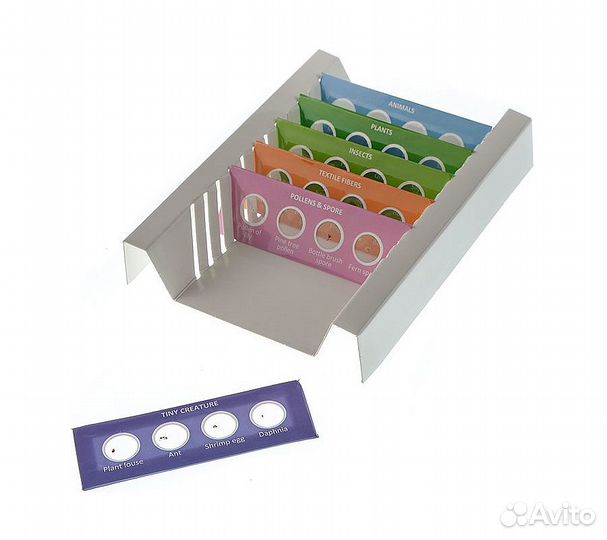 Набор микропрепаратов Микромед №24