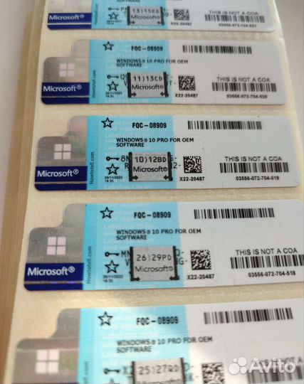 Windows 10 Pro, Windows 11 Pro