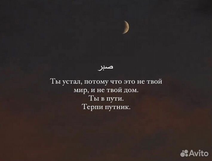 Видео Косетницы