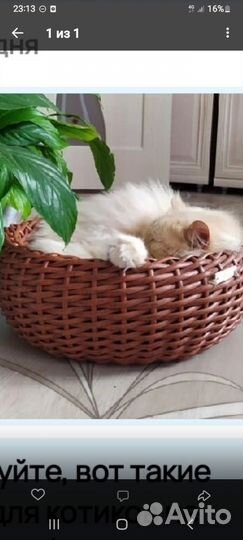 Лежанка для питомца