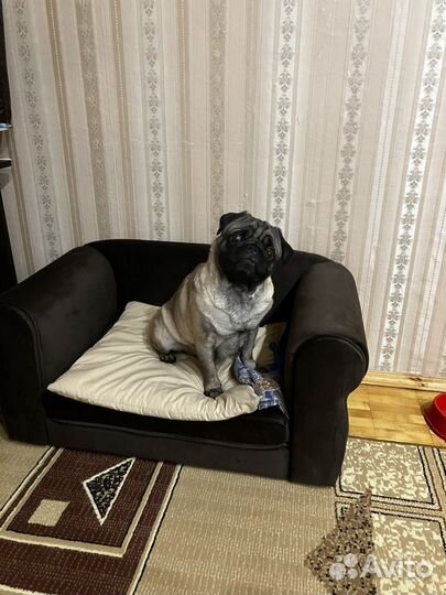 Диван для собак и кошек