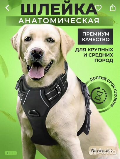 Шлейка анатомическая для собак