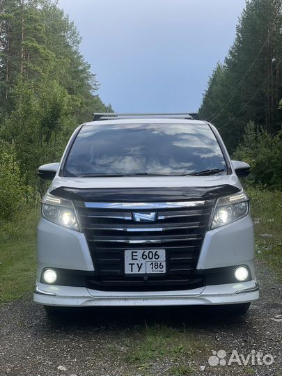 Аренда авто с водителем