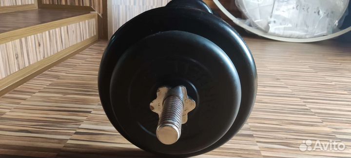 Штанга с блинами