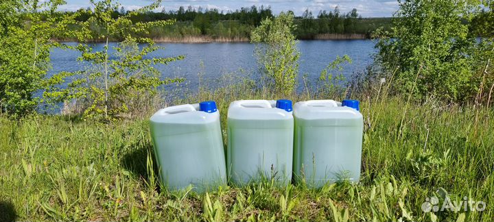 Хлорелла для очистки пруда