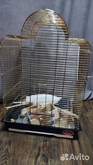 Клетка для попугая бу