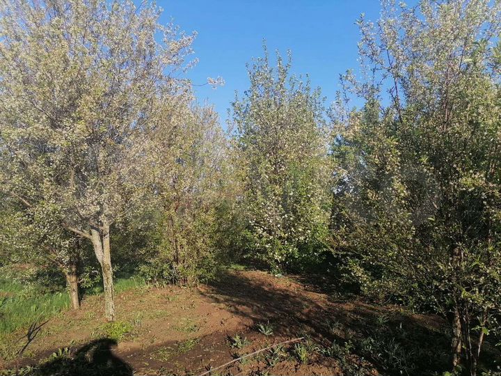 Дача 15 м² на участке 8 сот.