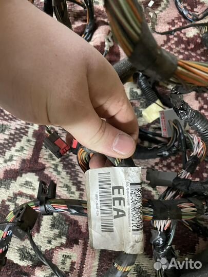 Проводка торпеды фокус 2