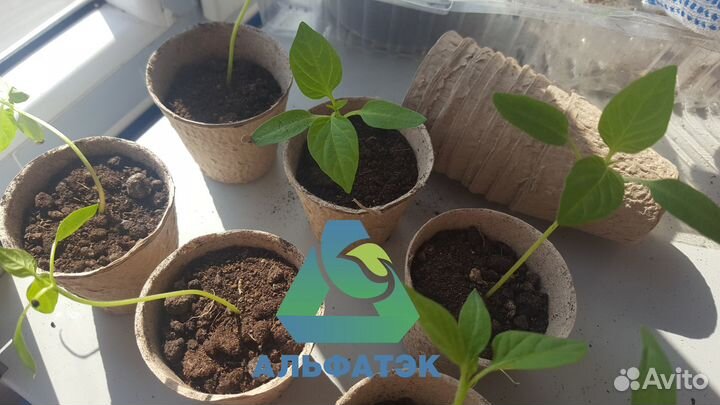 Грунт для рассады, 50 л