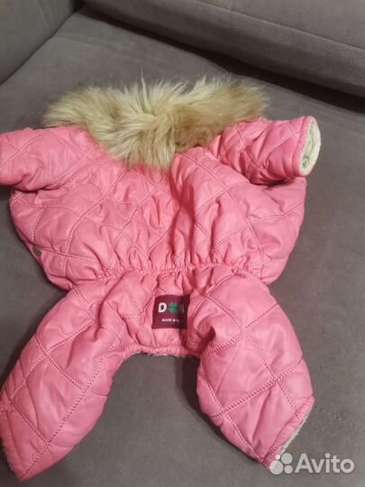 Одежда для маленьких пород собак