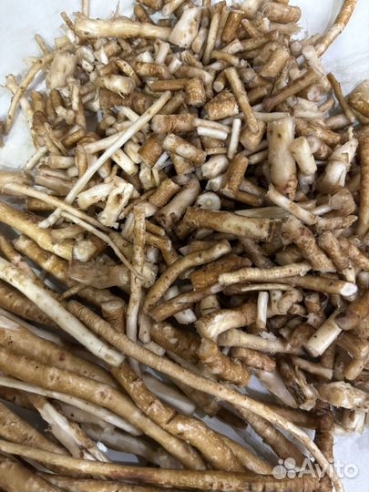 Гидролат корней одуванчика