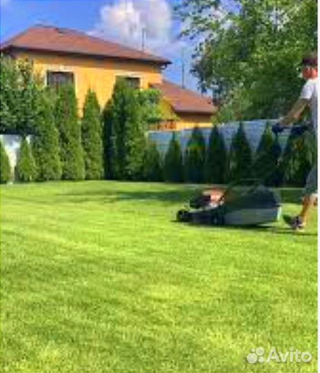 Стрижка газона. Покос высокой травы, бурьяна