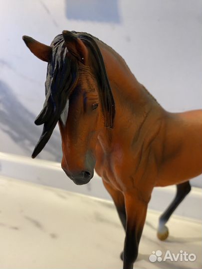Collecta андалузский жеребец