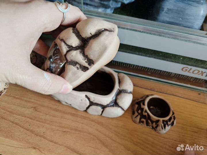 Влажная камера для эублефара, укрытие и поилка