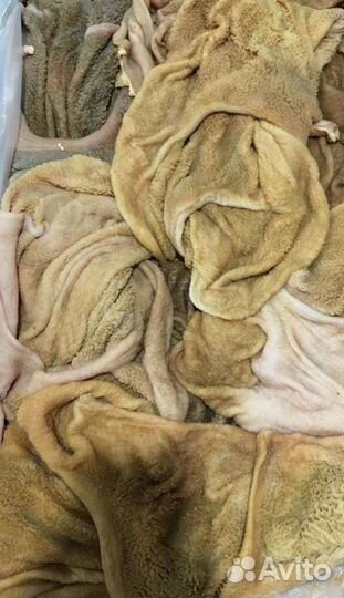 Бараньи субпродукты для корма собакам оптом