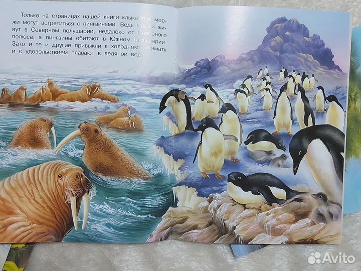 Ирина Гурина Ежик Гоша и другие книги