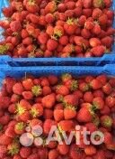 Продается клубника