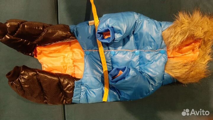 Зимний тёплый комбинезон для йорка