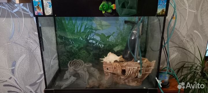 Аквариум