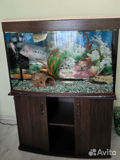 2 Аквариума