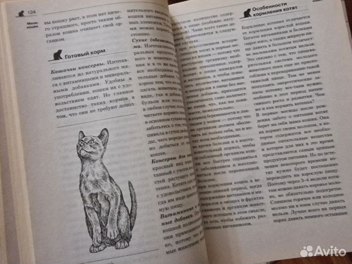 Энциклопедия о кошках. Розы